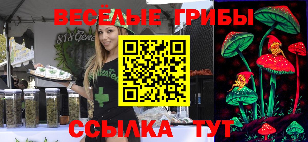 Галлюциногенные грибы GOLDEN TEACHER  купить наркоту  Вход с VPN  Кстово  Галлюциногенные грибы мухоморы 